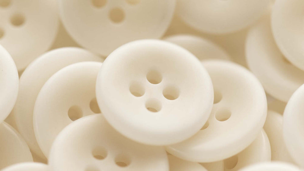 A Natural History of the Corozo Button